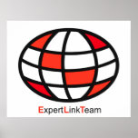 Expert Link Team Logo Print