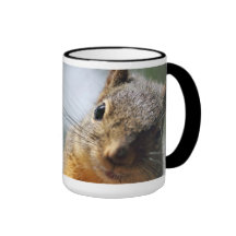 Extreme Closeup Squirrel Picture Coffee Mugs