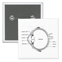 Eye diagram pins