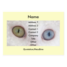 Eyes for You Business Card