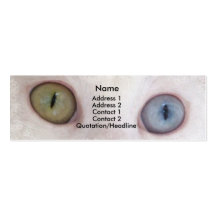 Eyes for you business card