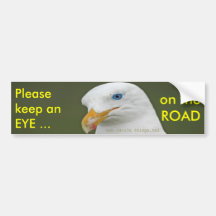 Eyes on the Road Bird Bumper Sticker