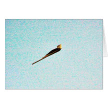 F117a Stealth Bomber Greeting Card