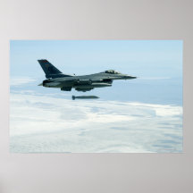 F-16C Fighting Falcon Print