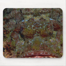 Face of a Galapagos scorpion fish Mouse Pads