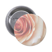 Faded and Framed Peach Rose Pin