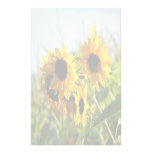 Faded Autumn Sunflowers Stationery