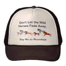 Fading Wild Horses hat