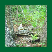 faerie on ridge rock magnets