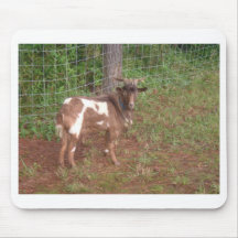 Fainting goat mouse pad