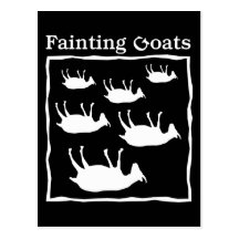 Fainting Goats Post Cards