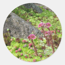 Fairy Landscape Sticker