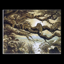 Fairyland: Asleep in the Moonlight postcards