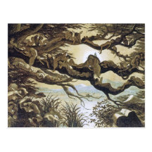 Fairyland: Asleep in the Moonlight Postcards