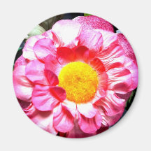 Fake Flower in Colour Cross Refrigerator Magnets