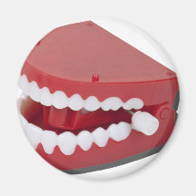 FakeChatteringTeeth081311 Magnet