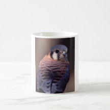 falcon coffee mug