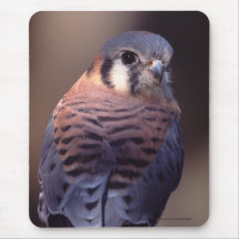 falcon mousemat