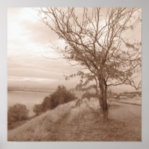 Fall by the River 2 Posters