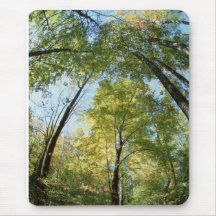 Fall Colours - Great Smoky Mountains - Trees Mouse Mat