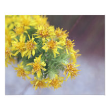 Fall Flowers 1 Photo Art