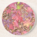 fall foliage coaster