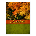 Fall In Love Wedding Postcard postcards