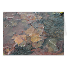 Fall Leafs Card