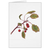 Fall Leaves Original Coloured Pencil Artwork Greeting Card