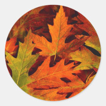 fall leaves sticker