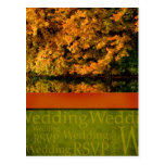 Fall Wedding Postcard postcards