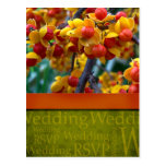 Fall Wedding Postcard postcards