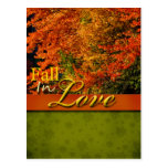 Fall Wedding Postcard postcards