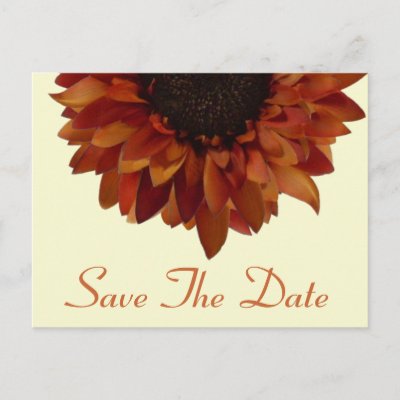 Fall Wedding Save The Date Sunflower Postcard by thepinkschoolhouse
