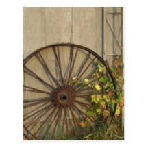 Fall Wheel Postcard