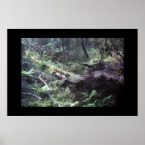 Fallen tree in the New Zealand Fiordland posters