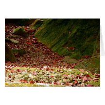 Falling in Fall/ With Poetry by Skye Ryan-Evans Card
