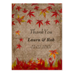 falling maple leaves ThankYou Cards Postcard