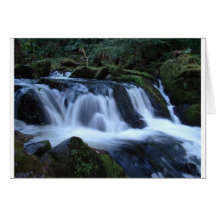 falls2 cards