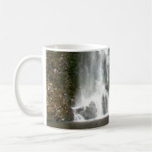 Falls Fanning Mugs