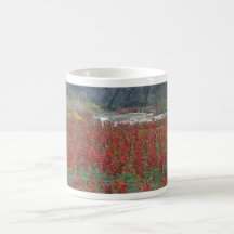 Falls Last Colours Mug