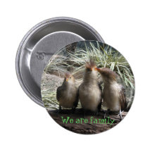 Family Bird Time Pinback Buttons