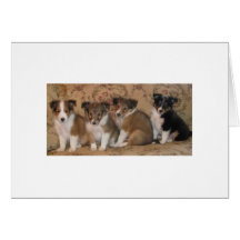 Family Portrait Of Billie Wee's Pups Cards