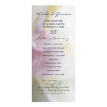 Fancy Pink Tulip Wedding Program Full Colour Rack Card