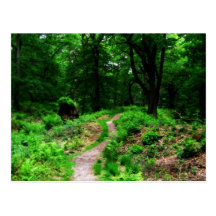 Fantasy Forest Post Cards