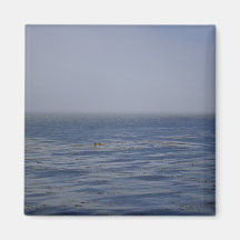Far From Shore Magnets
