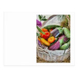 Farm - Fresh Vegetables Postcard