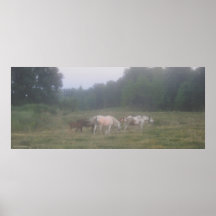 Farm Horses in a Misty Field Horse-lovers Photo Print