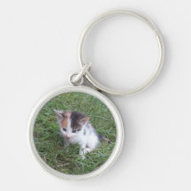 Farm Kitten 2 Key Chain