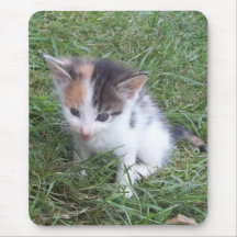 Farm Kitten 2 Mousepads